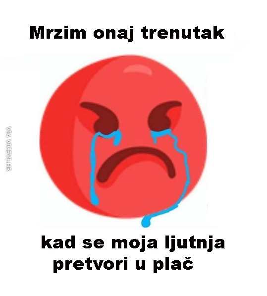 Mrzim ovaj trenutak