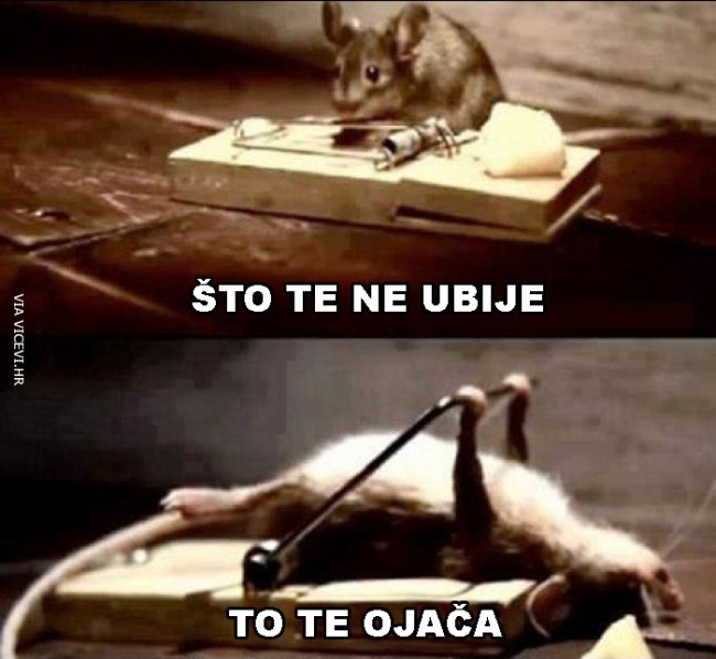 Što te ne ubije, to te ojača