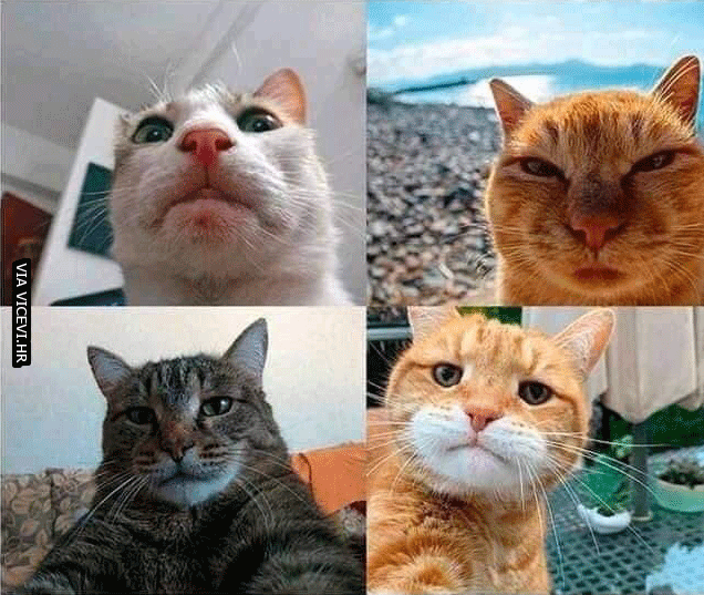 Svi pokušaji selfia