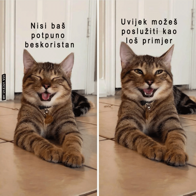 Nisi baš totalno beskoristan