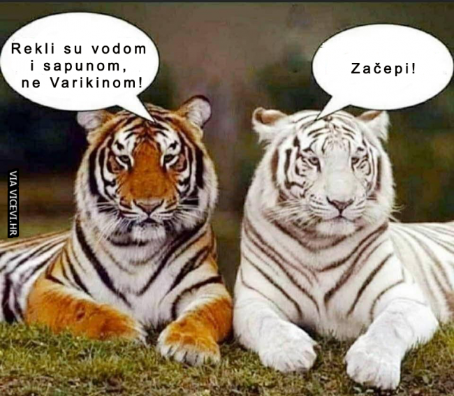 Zar si sjedio na ušima?!