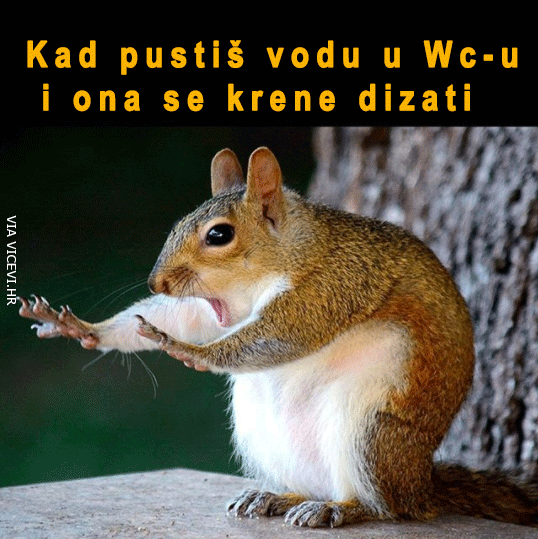 Trenutak prije katastrofe