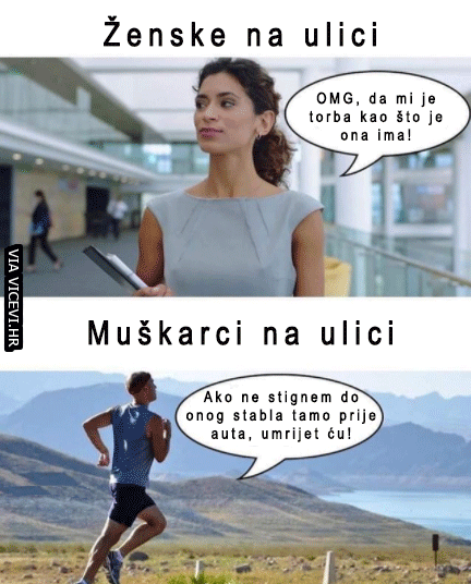 Ženski mozak/muški mozak